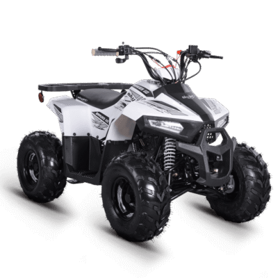 SKYJET BRAVES 110 ATV